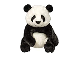 Douglas Teddy Bear